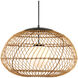 Carriage 1 Light 32.75 inch Black Outdoor Pendant