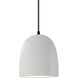 Radiance Collection 1 Light 9 inch Matte Black and Bisque and Black Pendant Ceiling Light