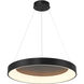 Conc LED 24 inch Coal Pendant Ceiling Light
