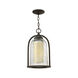 Quincy LED 9 inch Oil Rubbed Bronze Outdoor Hanging Light