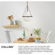 Collins 1 Light 15 inch Black Oxide Pendant Ceiling Light