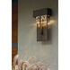 Shard LED 14.1 inch Coastal Dark Smoke Outdoor Sconce, Large