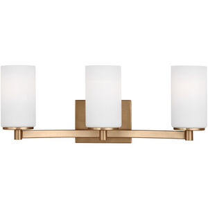 Hettinger 3 Light 20.50 inch Bathroom Vanity Light