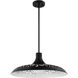 Pocco 1 Light 21.25 inch Flat Black Pendant Ceiling Light