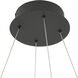 Canada LED 28.3 inch Black Chandelier Ceiling Light