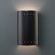 Ambiance Cylinder LED 5.75 inch Carbon Matte Black Wall Sconce Wall Light, Small