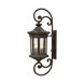 Raley LED 42 inch Oil Rubbed Bronze Outdoor Wall Lantern, Extra Large