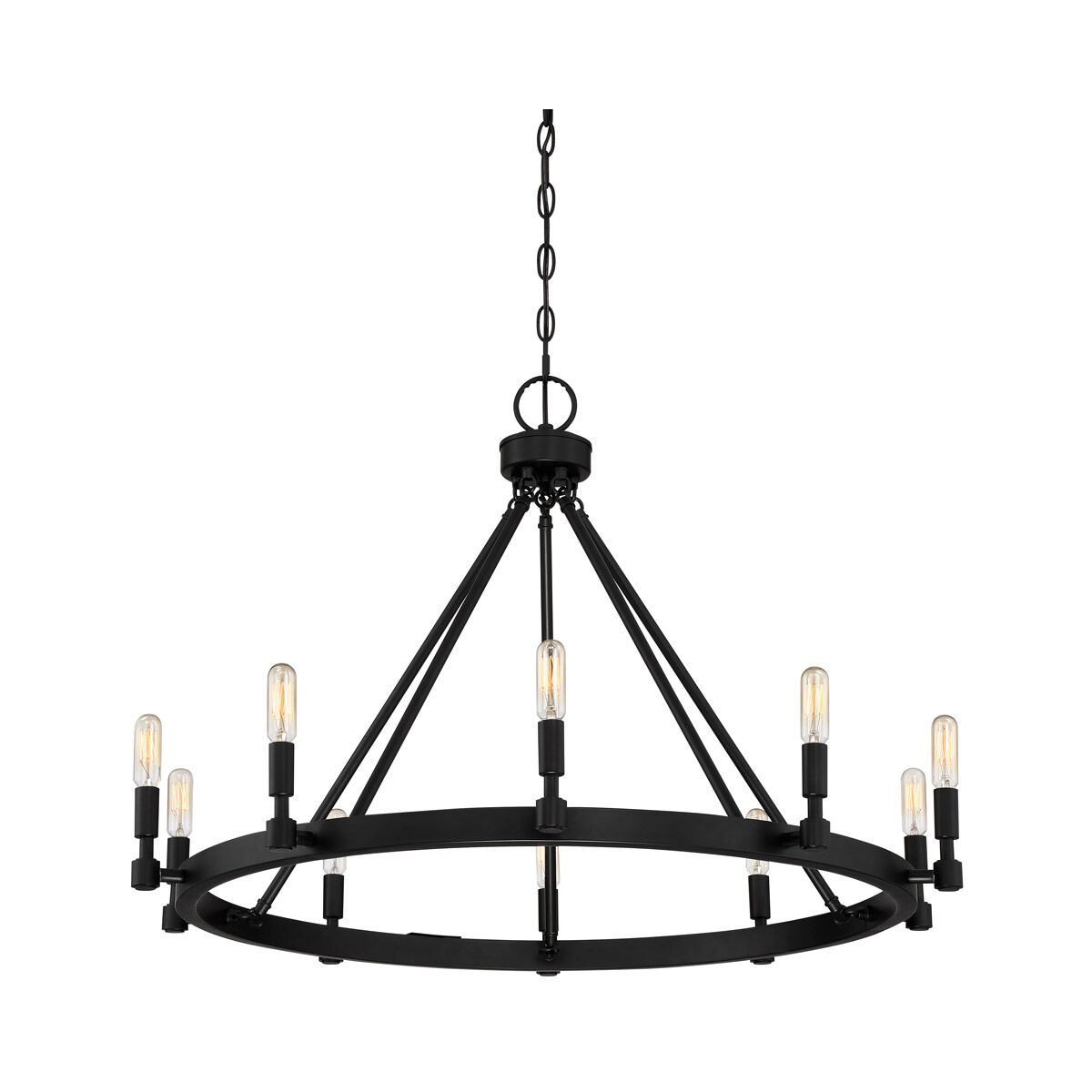 Fiora 10 Light 31 inch Black Chandelier Ceiling Light