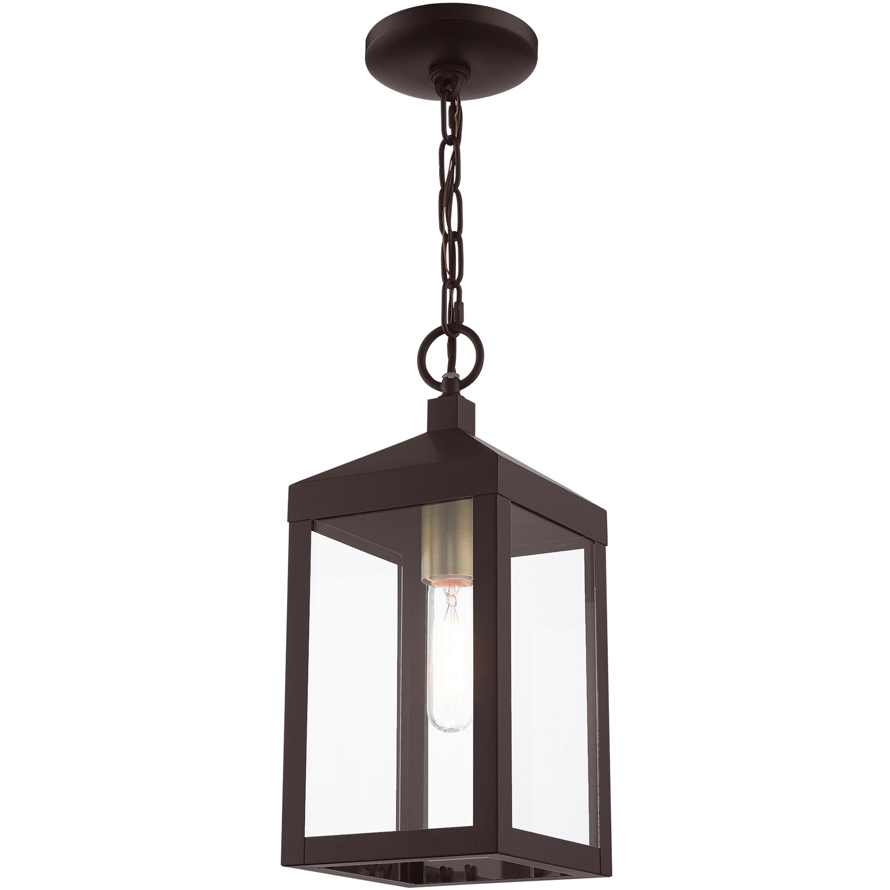 Nyack 1 Light 6.25 inch Bronze with Antique Brass Cluser Outdoor Pendant Lantern