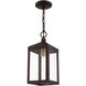 Nyack 1 Light 6.25 inch Bronze with Antique Brass Cluser Outdoor Pendant Lantern