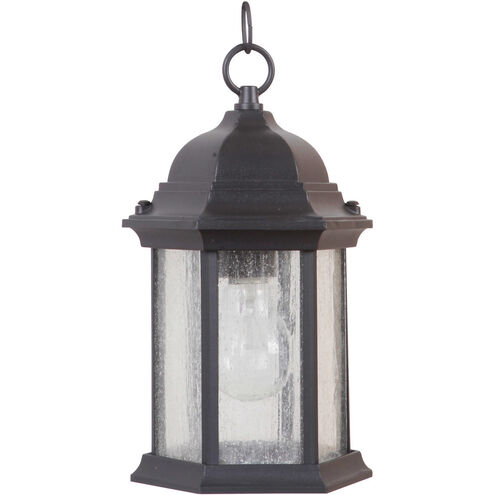 Hex Style 1 Light 6.5 inch Textured Black Outdoor Pendant in Clear Seeded, Small