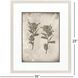 Wildflower Stems Brown and Gray and Neutral Framed Art, Propac