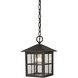Shaker Heights 1 Light 7 inch Hazelnut Bronze Outdoor Pendant, Small