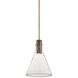 West Hill 1 Light 13.75 inch Patina Brass Pendant Ceiling Light