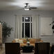 Renew Select 52 inch Satin Black Ceiling Fan