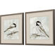 Feathered Melody Gray and Metallic and Black Framed Art, Propac