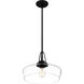 Haven 1 Light 14 inch Matte Black Pendant Ceiling Light