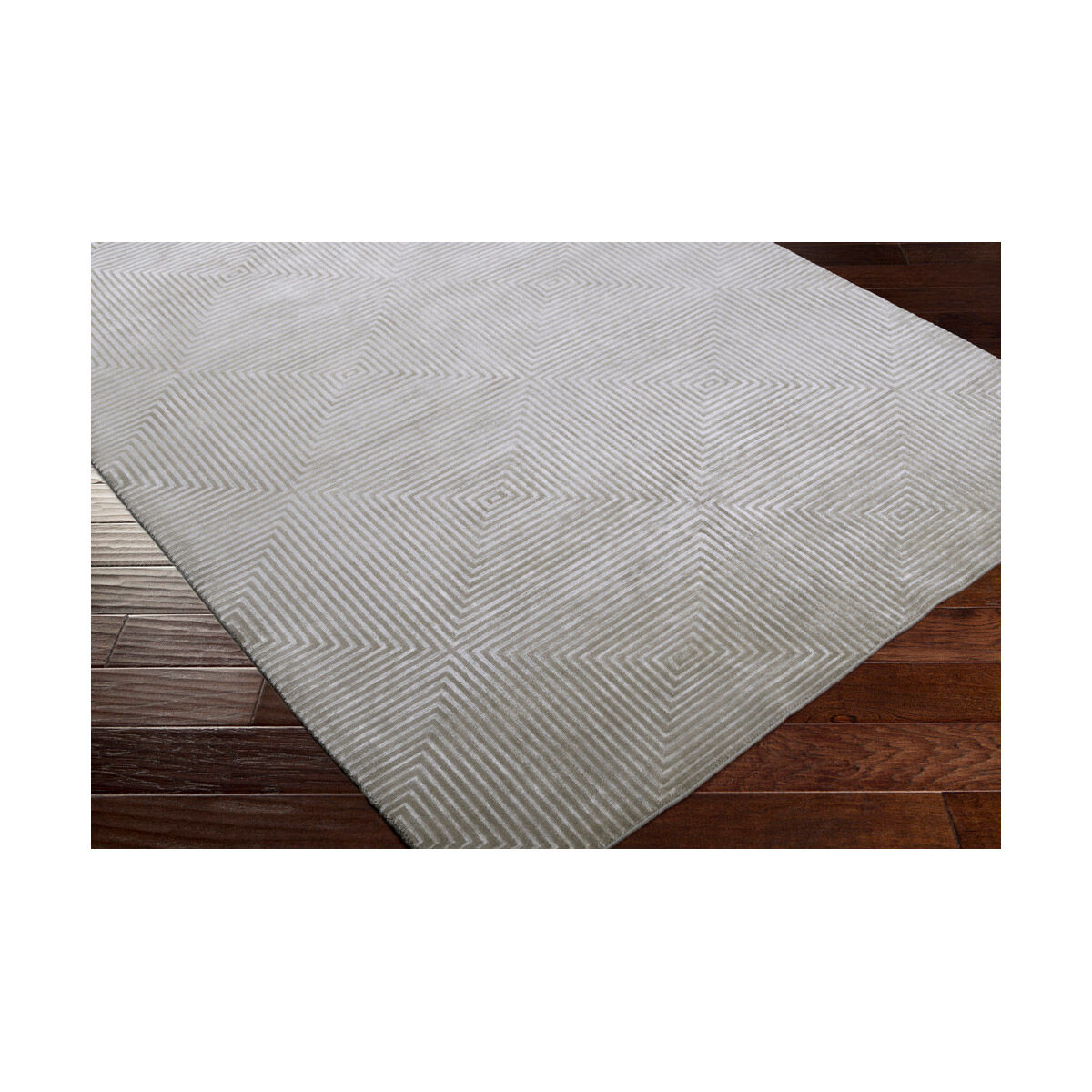 Luminous 36 X 24 inch Gray and Gray Area Rug, Wool