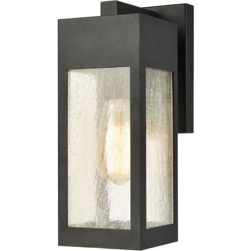Angus 1 Light 13 inch Charcoal Outdoor Wall Sconce