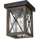 County Fair 1 Light 6.75 inch Outdoor Ceiling Light