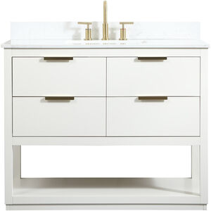 Larkin 42 X 22 X 34 inch White Vanity Sink Set