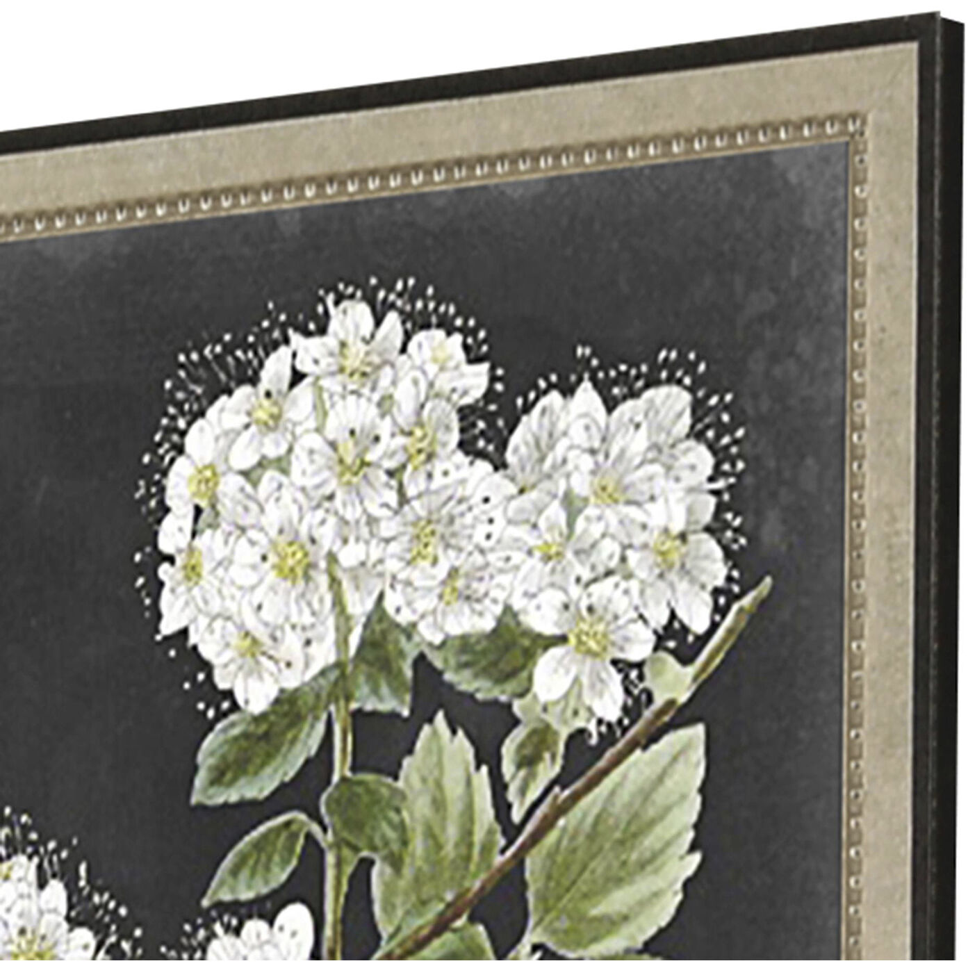 Florals Black and Green and White Framed Art