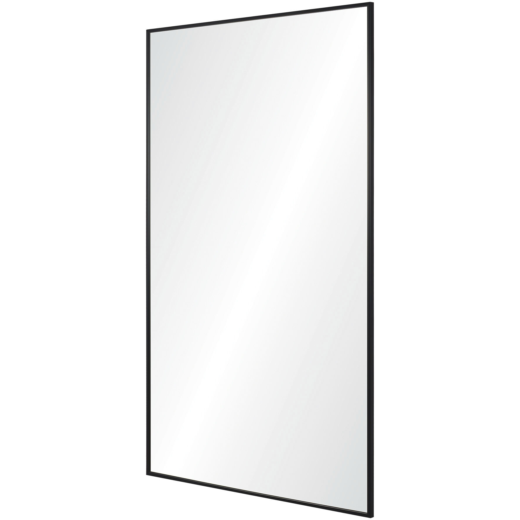 Amara 45 X 30 inch Clear and Matte Black Wall Mirror