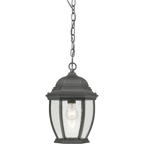 Covington 1 Light 10 inch Black Outdoor Pendant