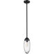 Arden 1 Light 4.5 inch Matte Black Pendant Ceiling Light