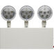 Edgewood LED 12 inch White Emergency Lighting Wall Light