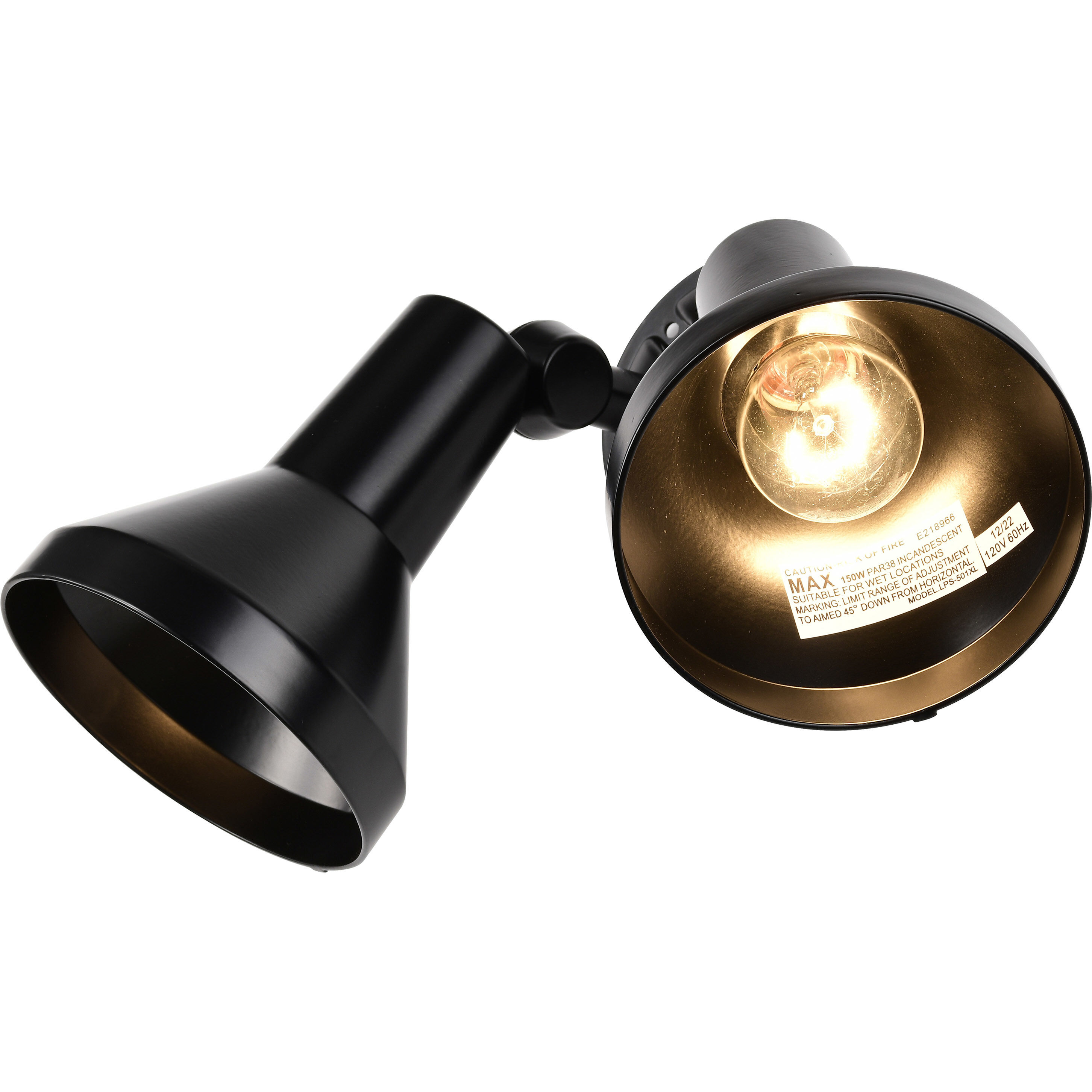 Brentwood 2 Light 5 inch Black Outdoor Flood Light