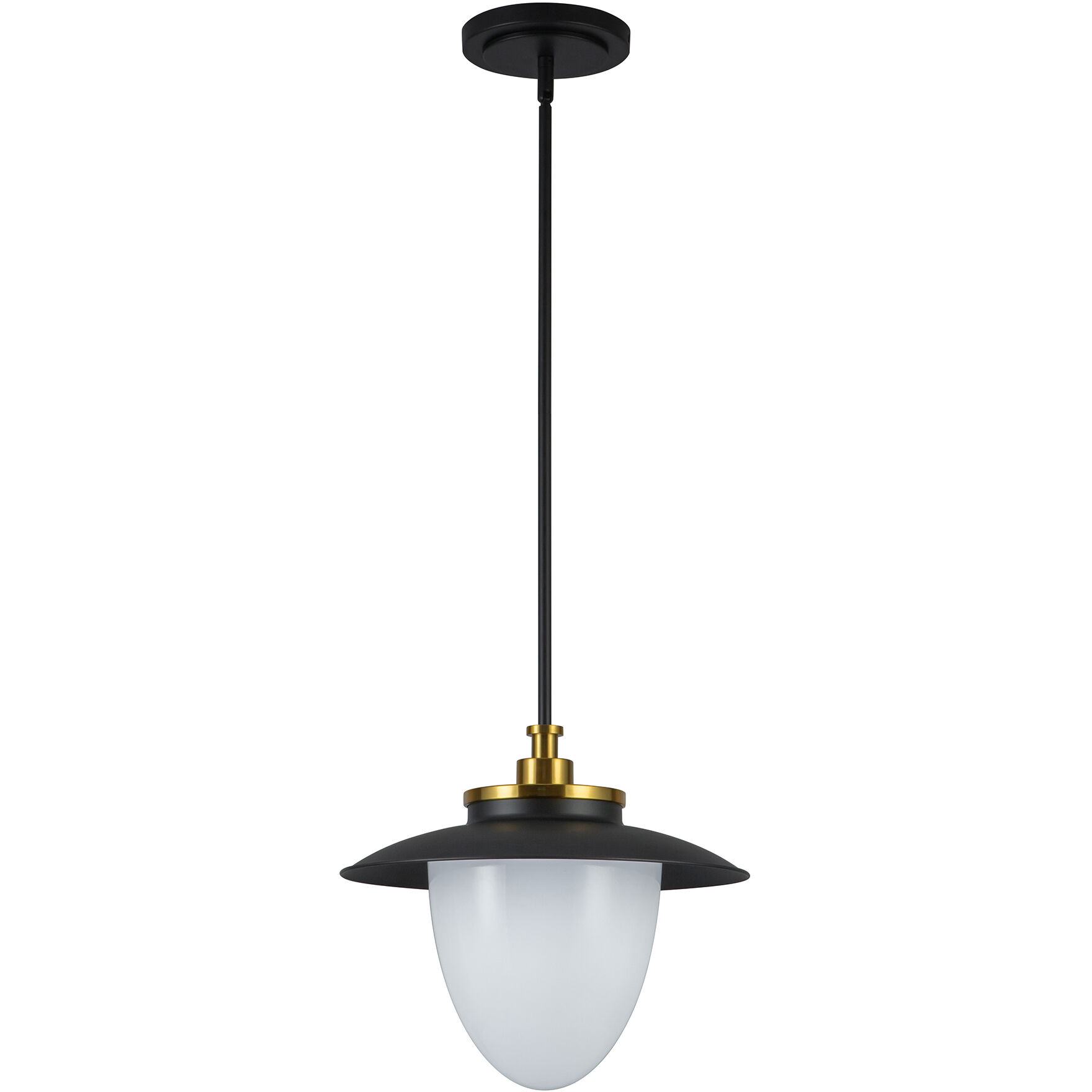 Dahlia 1 Light 15 inch Black and Brass Pendant Ceiling Light
