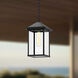 Alora Mood Larchmont 1 Light 7.88 inch Clear Glass/Textured Black Exterior Pendant