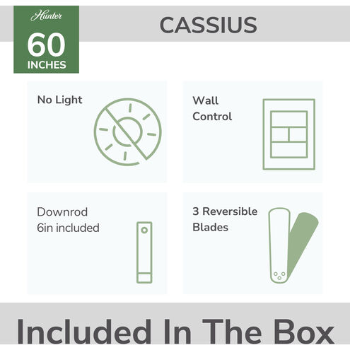 Cassius 60 inch Fresh White with Light Stripe/Fresh White Blades Outdoor Ceiling Fan