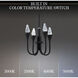 Beyond Plumeria LED 12 inch Black Pendant Ceiling Light