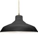 Radiance LED 15.5 inch Gloss Black and Matte White and Antique Brass Pendant Ceiling Light