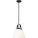 Z-Studio 1 Light 12.5 inch Matte Black Pendant Ceiling Light