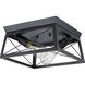 Briarwood 2 Light 12 inch Textured Black Flush Mount Ceiling Light