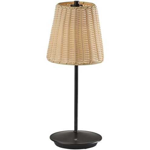 Andy 15 inch 1.50 watt Black LED Cordless Table Lamp Portable Light