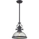 Chadwick 1 Light 13 inch Oil Rubbed Bronze Pendant Ceiling Light in Clear Seeded Glass