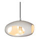 Radiance 1 Light 12 inch Pendant Ceiling Light