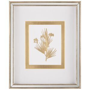 Botanicals VII Golden Wall Decor, Giclees
