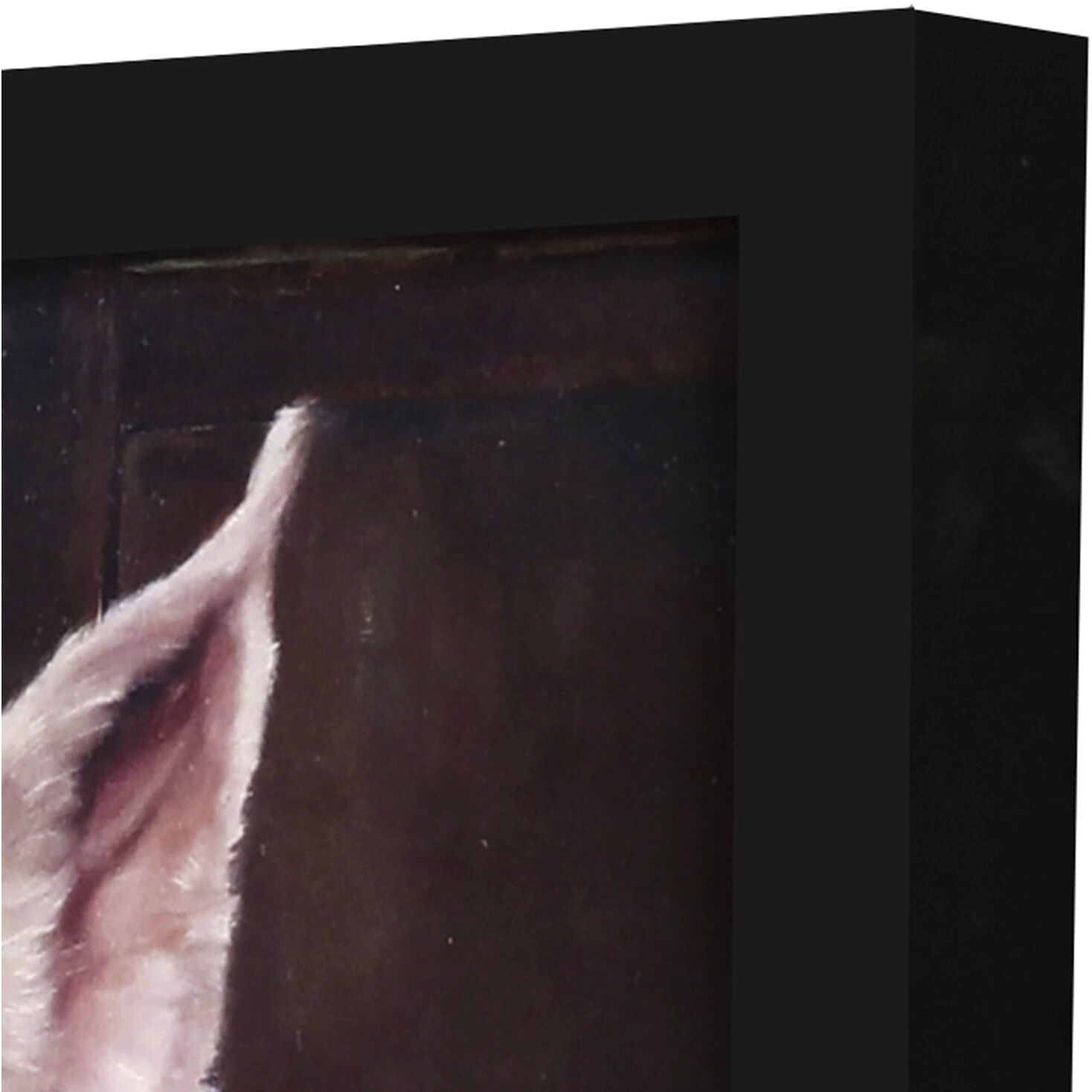 Animals 11 X 9 inch Non-Glass Framed Art, Propac