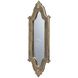 Anita 23.4 X 8.1 inch Gold Mirror