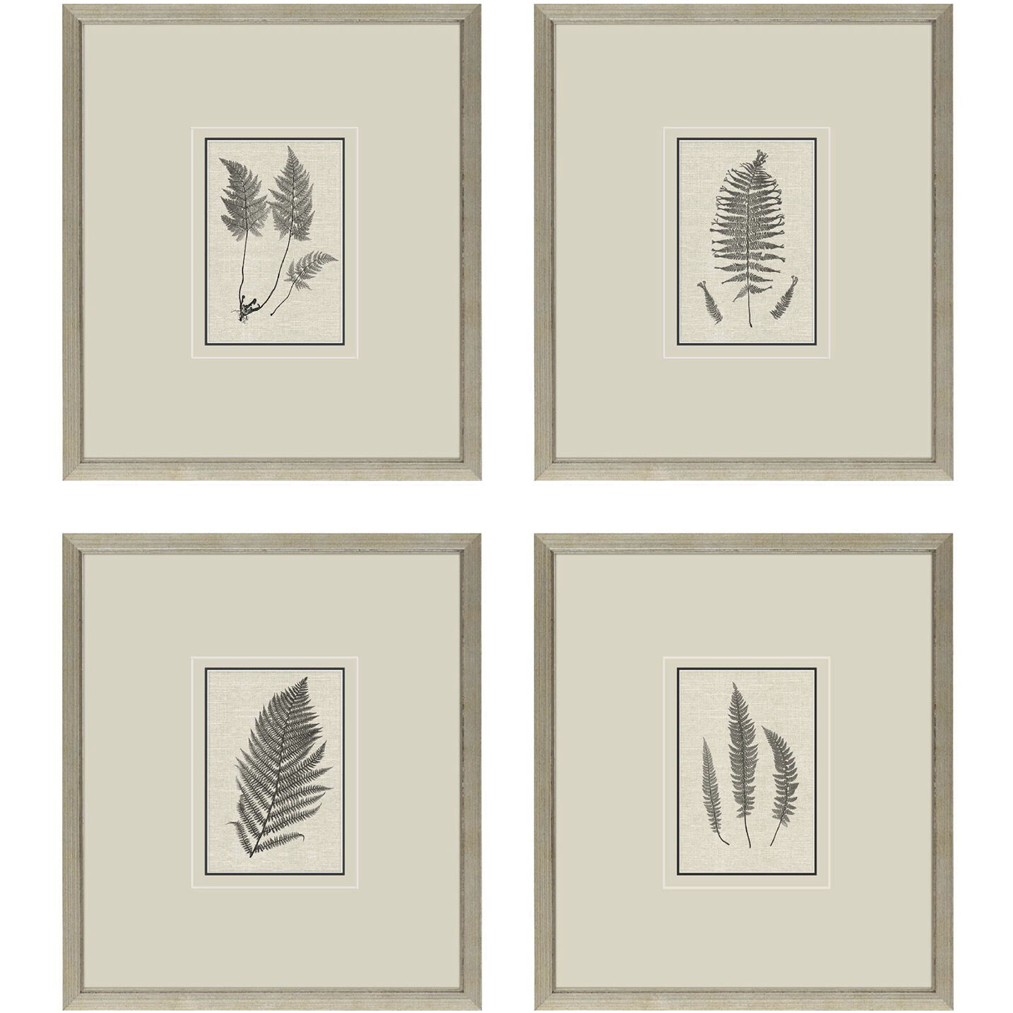 Florals Brown and Beige and Neutral Framed Art