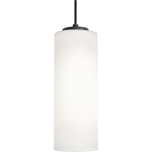 Leo LED 4 inch Black Pendant Ceiling Light