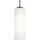 Leo LED 4 inch Black Pendant Ceiling Light