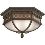 Outdoor Ceiling Lights