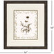 Neutral Imperial I Brown and Neutral Framed Art, Propac