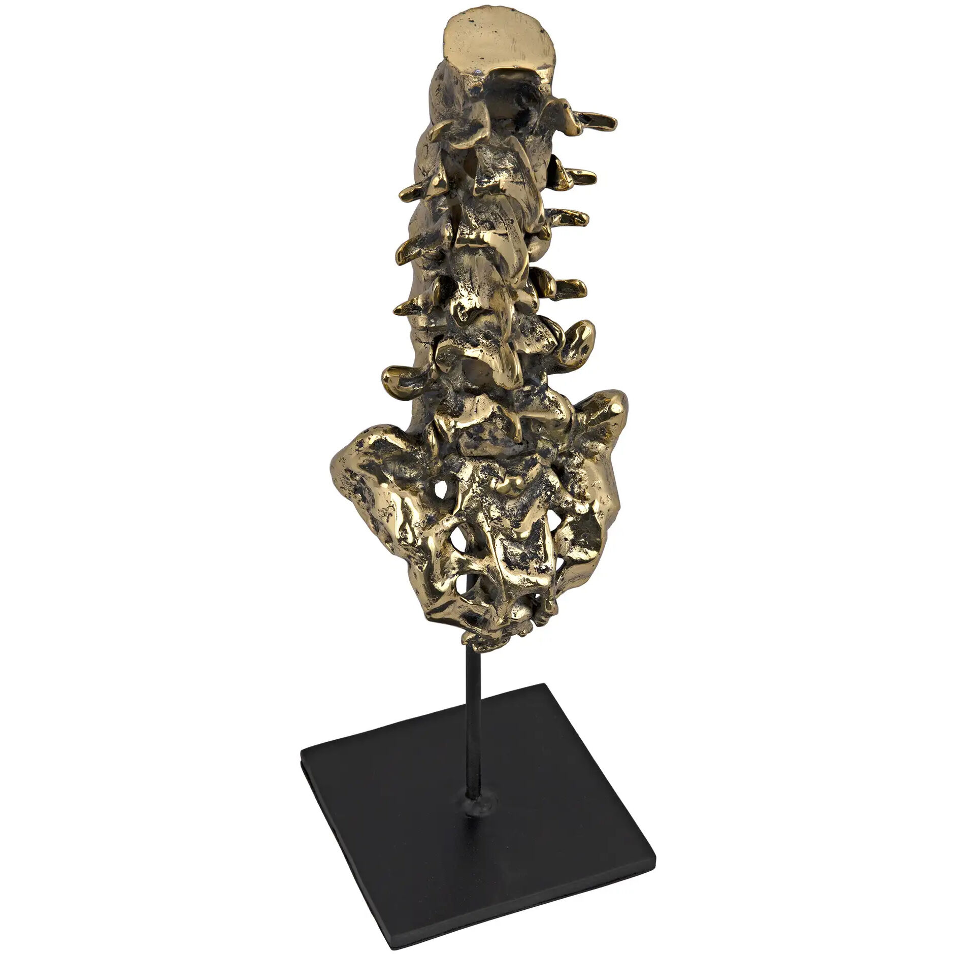 Vertebrae Brass Decor Accessory